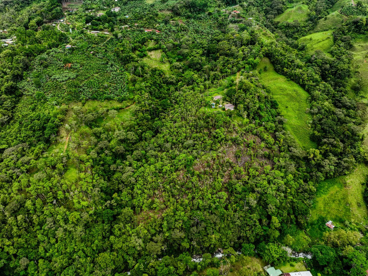 Expansive 27 Acre Farm with Residence in San Isidro del General - Gallery image 6