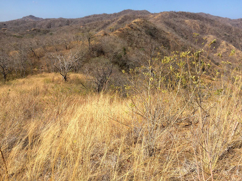 Ocean view property in the area of Guanacaste, great commercial opportunity near the Hotel Riu - Gallery image 15