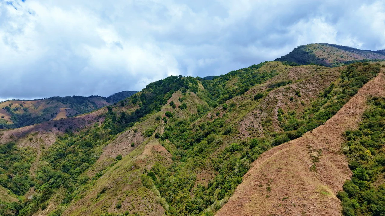 Mountain Agricultural Land For Sale in Herradura - Gallery image 6