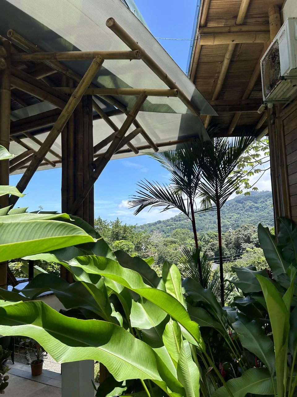 Cabinas Bambura: Cabinas Bambura: Successful Airbnb Business with Stunning Mountain & Jungle View - Gallery image 9