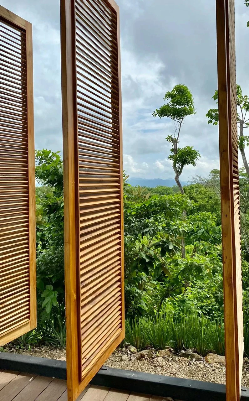 The Ark: $1,390,000 USD Luxury Jungle Estate with Guest House in The Ark Community, Santa Teresa Costa Rica - Gallery image 62