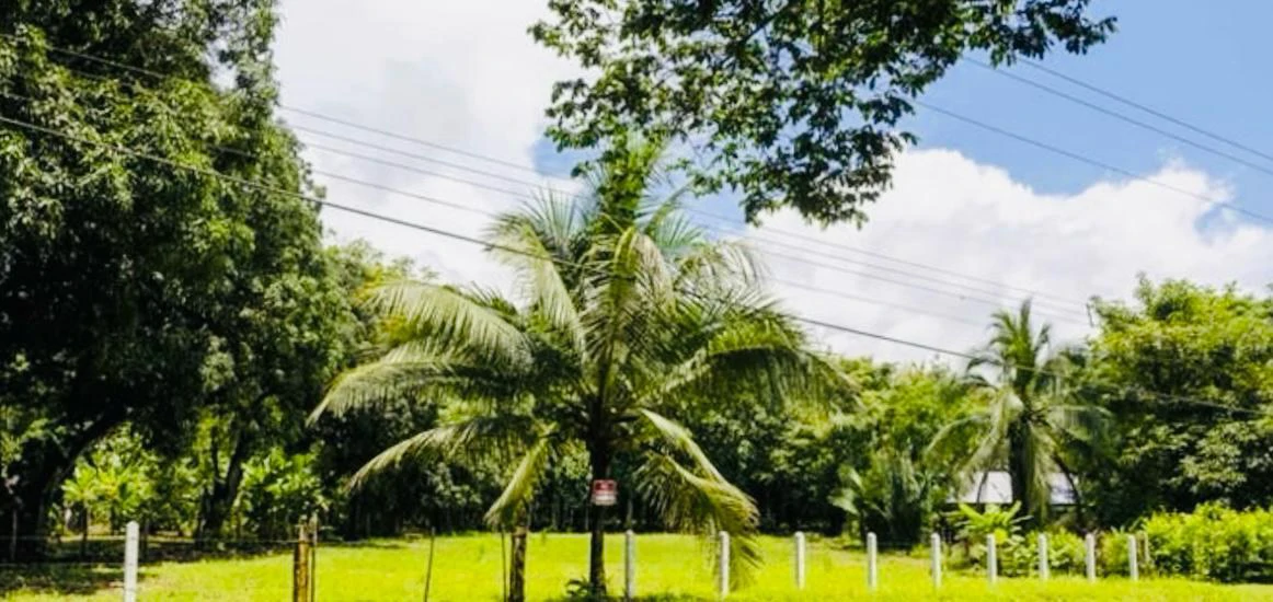 Lot for sale near Playa Coyote Guanacaste Costa Rica - Gallery image 6
