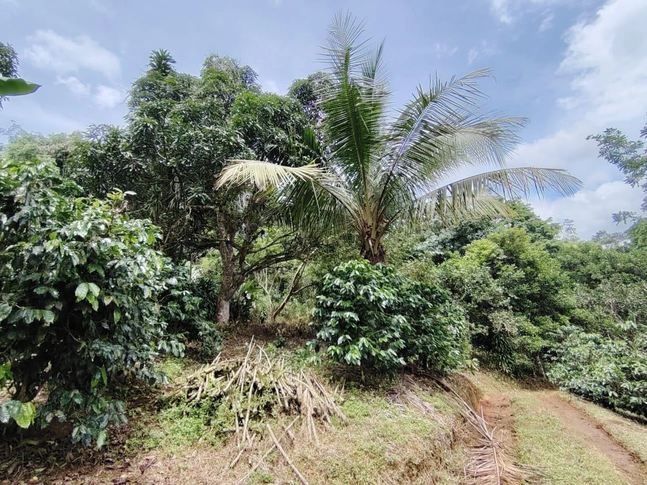 Home Construction Site For Sale in General Viejo - Gallery image 13