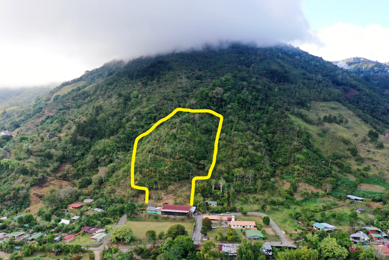 Canaan de Rivas 10 acres Above San Isidro - Gallery image 22