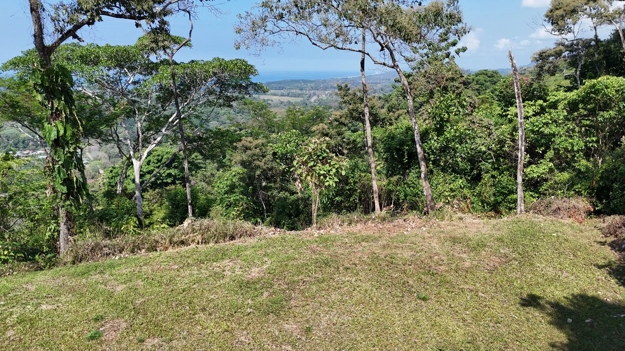 Exceptional Development Opportunity 71 acre Riverfront & Ocean View in Hatillo - Gallery image 3