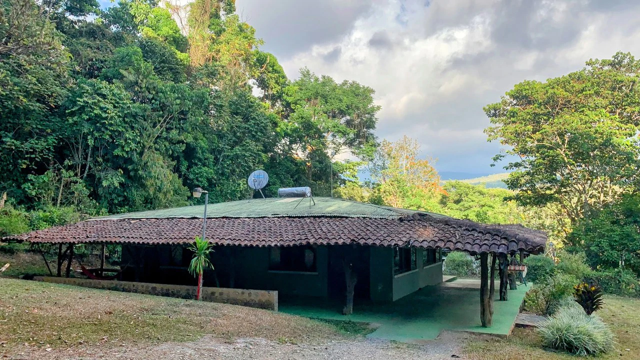 Talari Hotel: Nature and Bird Lover's Paradise - Mountain Lodge - Gallery image 18
