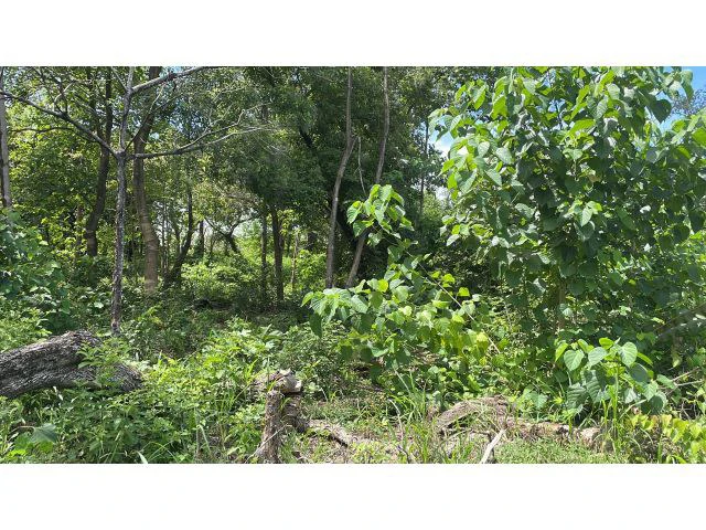 Building potential property for sale in Guadalupe, 5 minutes away from Liberia and 20 from the National Park of Rincon de la Vieja - Gallery image 7