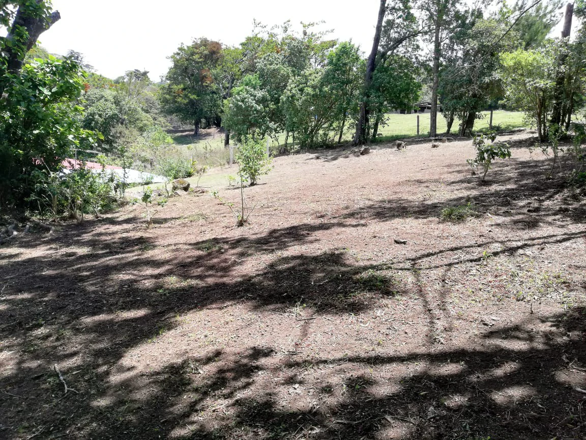 Monteverde Acosta: Countryside and Mountain Home Construction Site For Sale in Santa Elena - Gallery image 3
