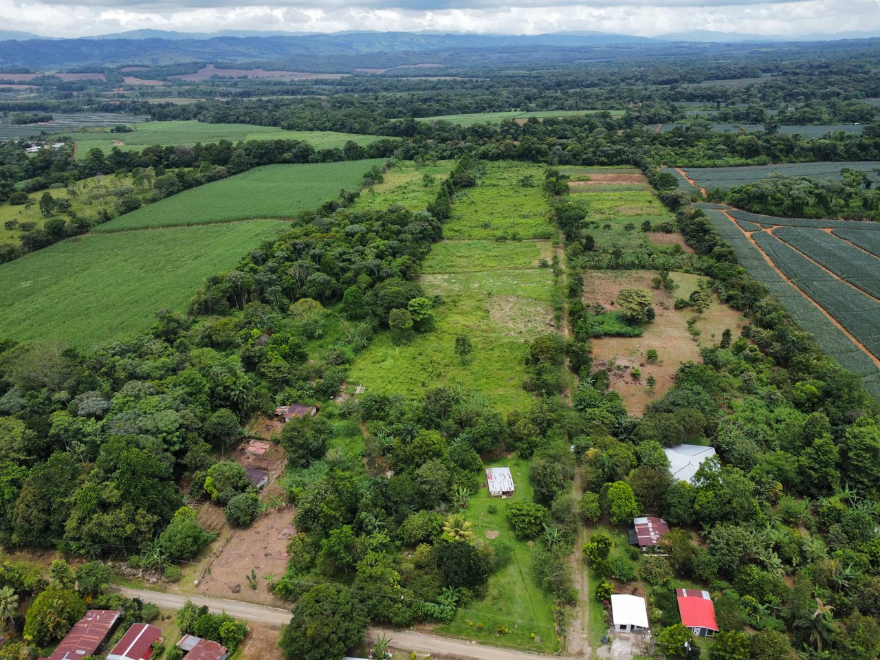 Countryside Home Construction Site For Sale in Convento - photo 8