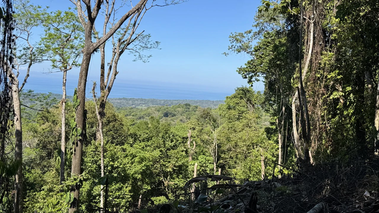 Unique Opportunity, Panoramic Ocean Views of the Whale's Tail Beach! - Gallery image 6