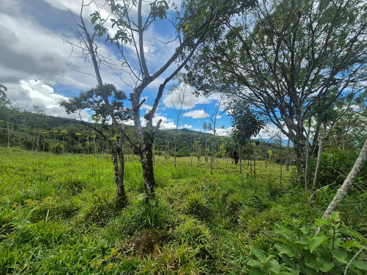 Countryside Agricultural Land For Sale in Centro de Pérez Zeledón - Gallery image 6
