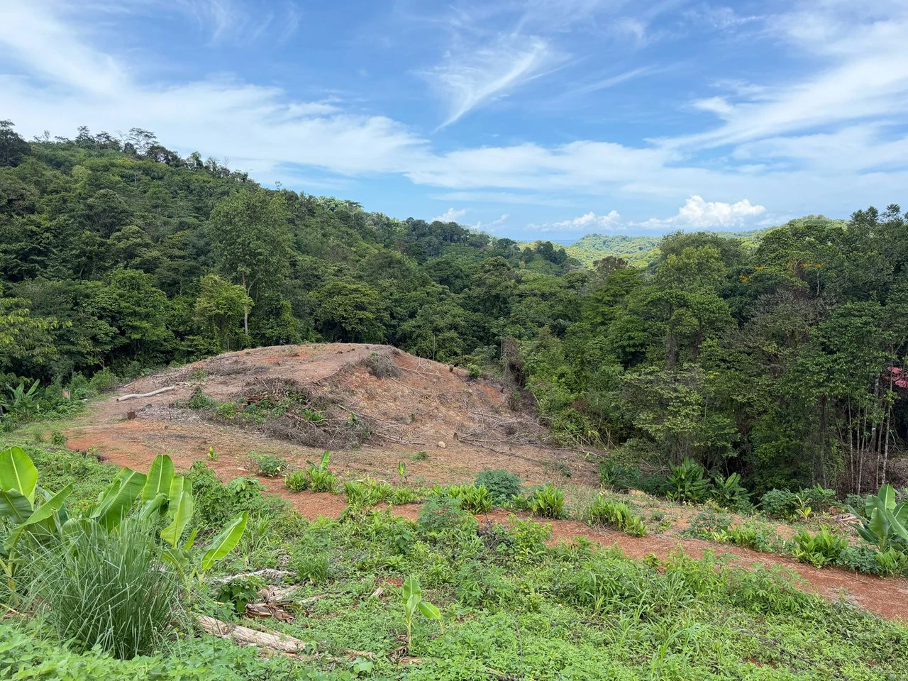 Near the Coast Home Construction Site For Sale in Pavon - Gallery image 4