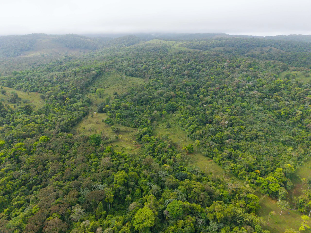 Finca Las Zompopas-Río Celeste: 113-Acre Biodiverse Property in Bijagua, Ideal for Eco-Tourism, Private Retreats, or Sustainable Development - Gallery image 21