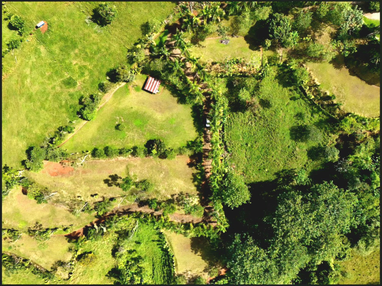 Mountain Home Construction Site For Sale in Miravalles - photo 2
