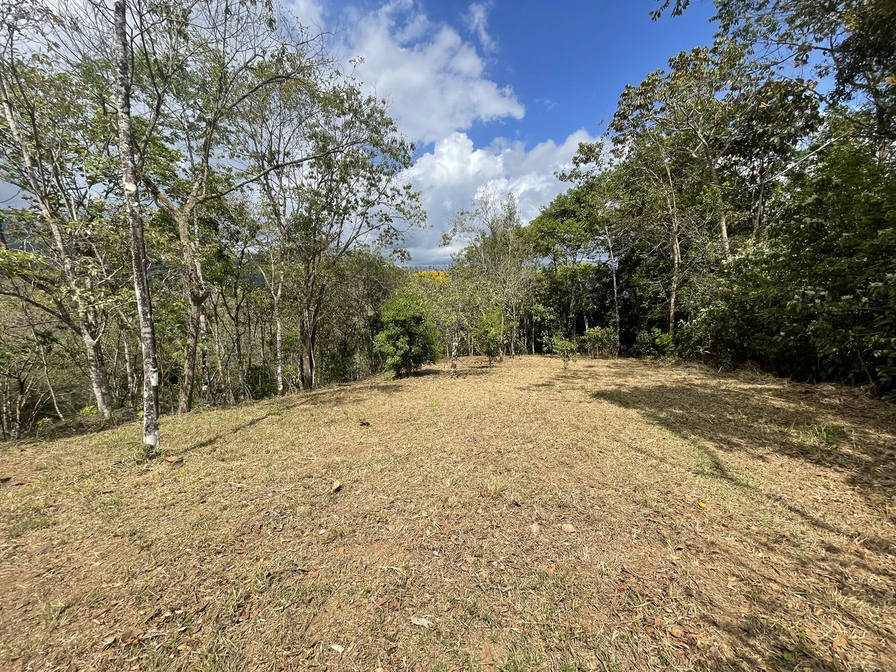 Elevated Two and a Half Acres with Cool Breeze in San Isidro del General - Gallery image 17