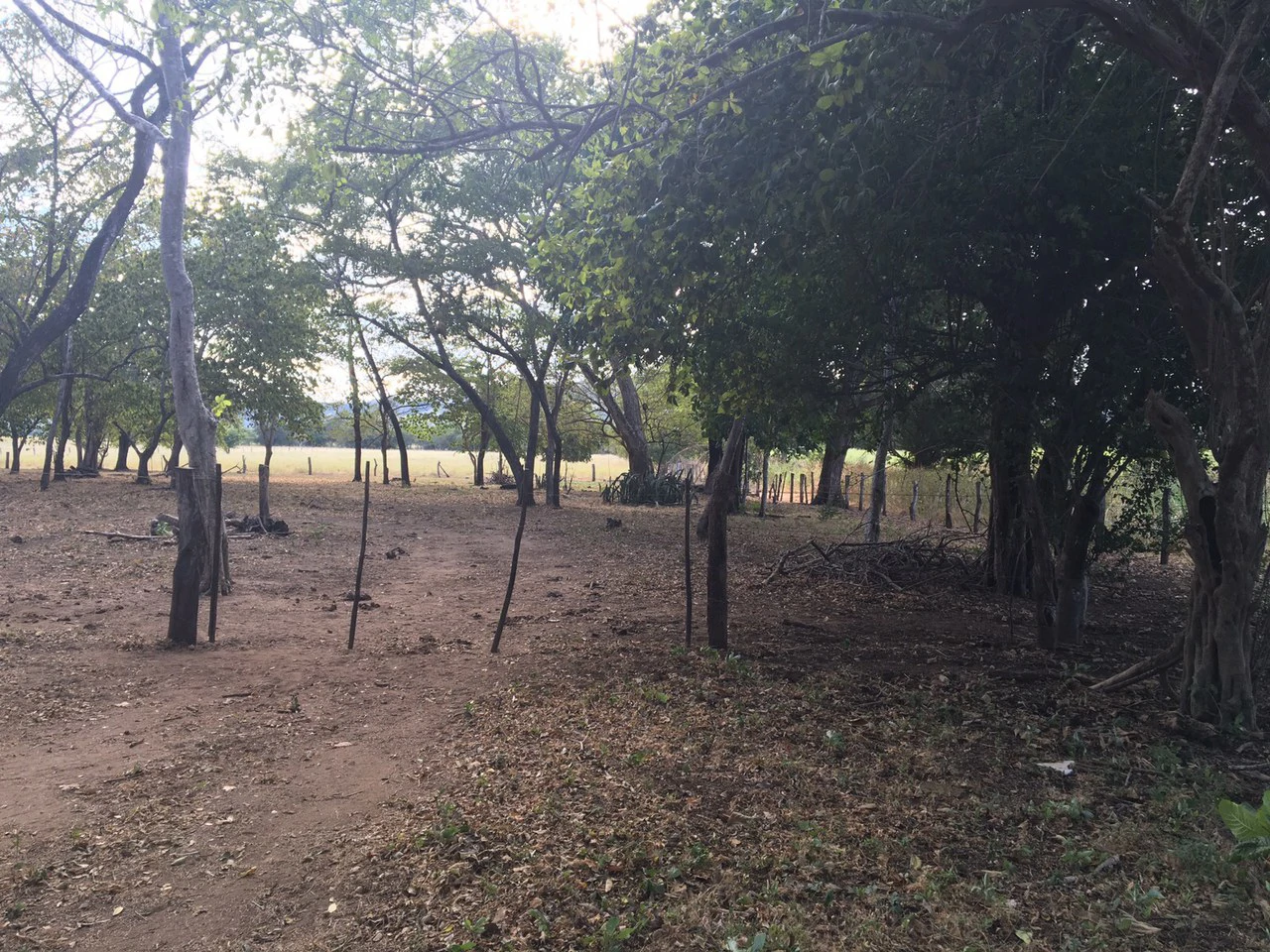 Propiedad cerca del Aeropuerto de Liberia : Countryside Development Parcel For Sale in Guardia - Gallery image 5