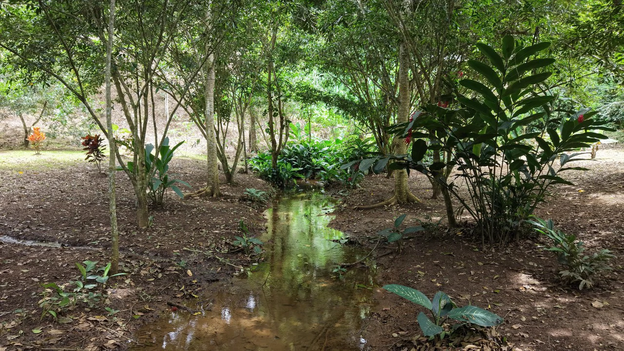 Home Construction Site For Sale in Daniel Flores - photo 4