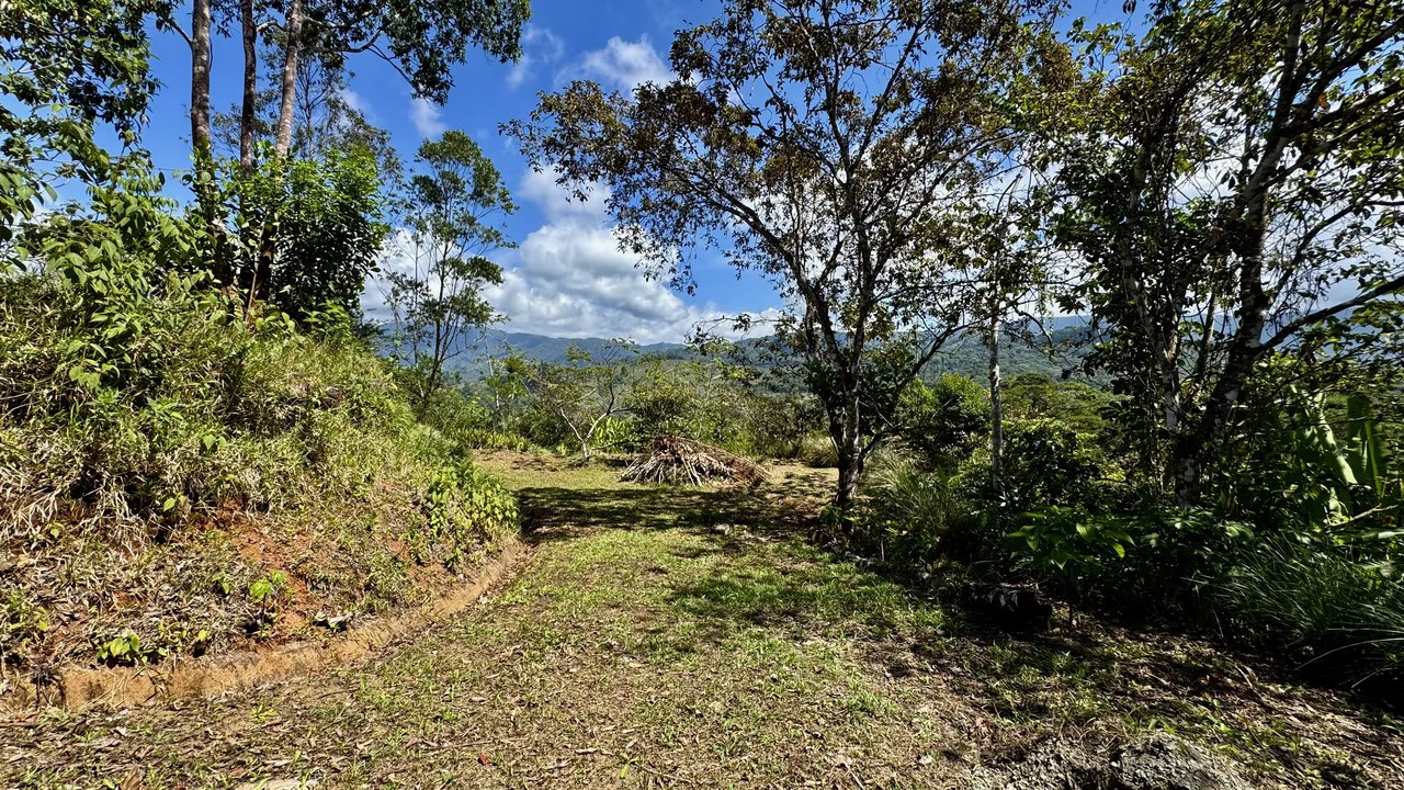 New 1,4 Acre lot in Platanillo – With Legal Water - Gallery image 6