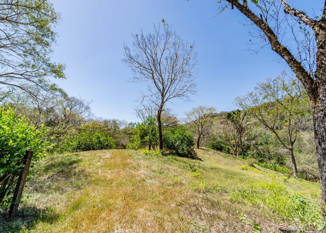 Lote del Bosque: Beautiful Acre Lot in Montaña - Gallery image 5