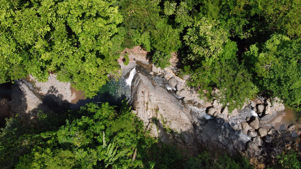 FINCA CERRO DEL TIGRE! OVER 20 ACRES OF PRIMARY FOREST AND WATERFALLS.: Mountain Agricultural Land For Sale in La Unión - Gallery image 19