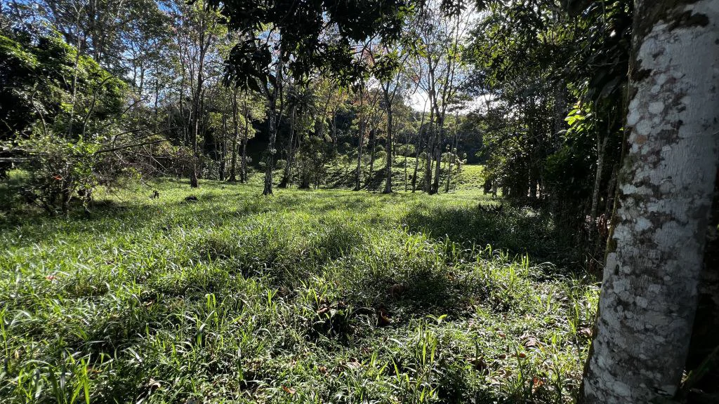 Mountain Home Construction Site For Sale in Guadalupe - photo 10