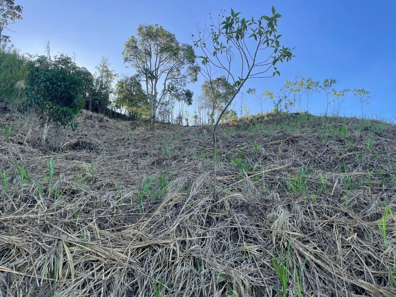 Eco-Lot #15: Ready-to-Build Sustainable Haven with Gulf & Mountain Views - photo 7