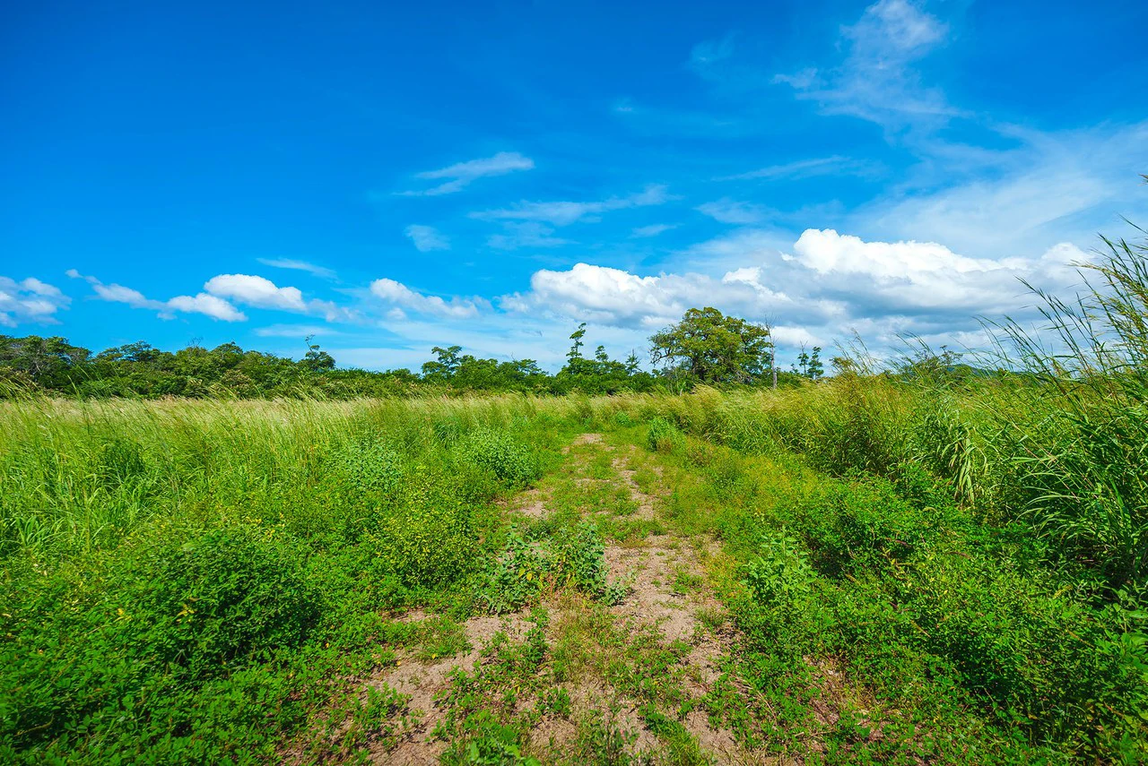 Playa Grande Beachfront Development Property - Gallery image 19