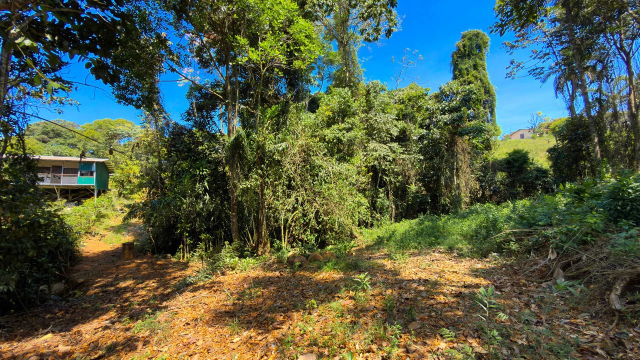 Countryside Home Construction Site For Sale in Cajón - Gallery image 13