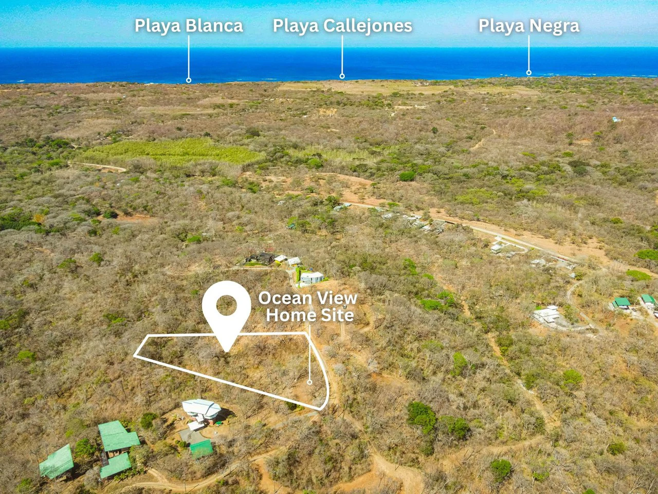 Pura Jungla #9: Ocean Views, Nature and Serenity in Playa Negra