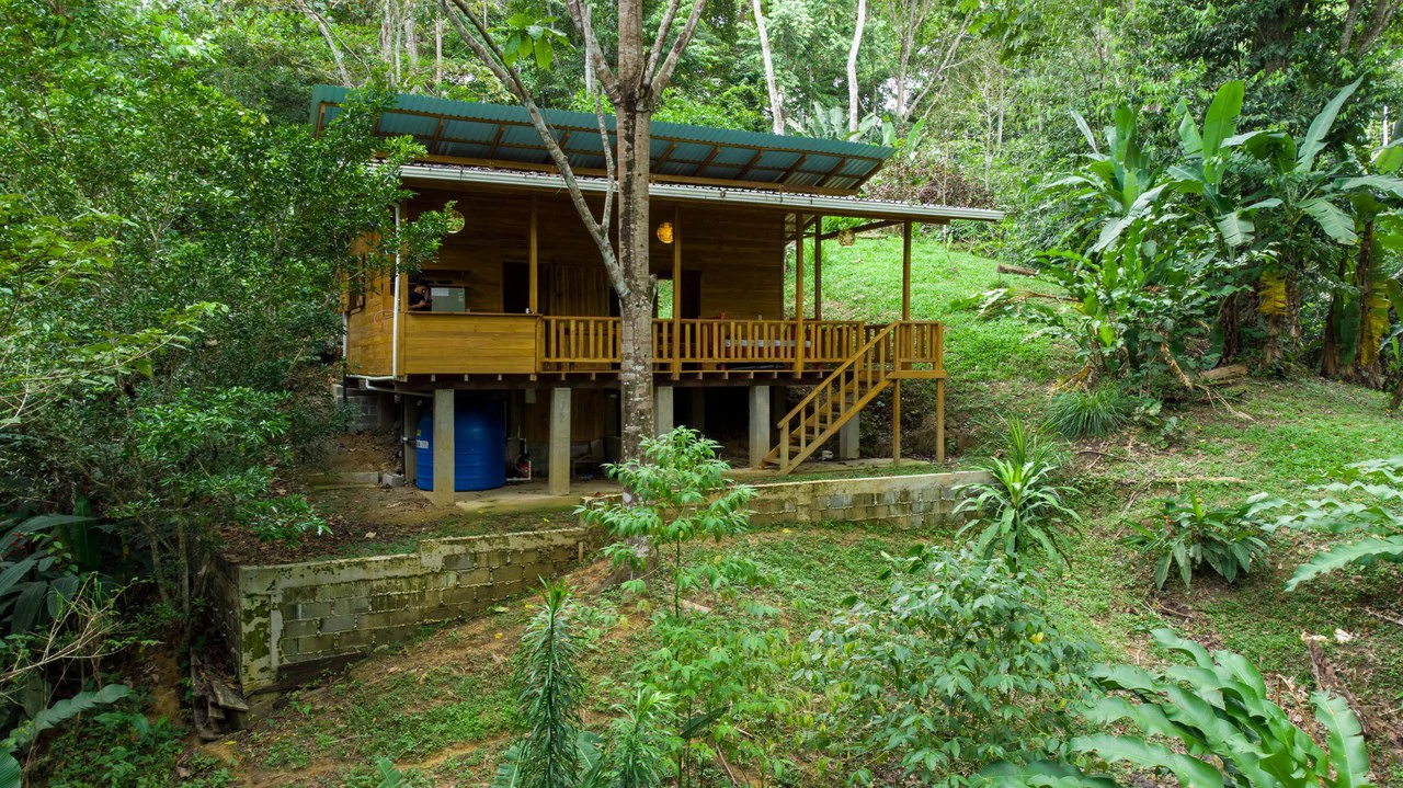 4 Bd/3 Ba - Two Caribbean Homes w/ Pool, on 5000m²: Dual Home Jungle Property in Punta Uva - Gallery image 24