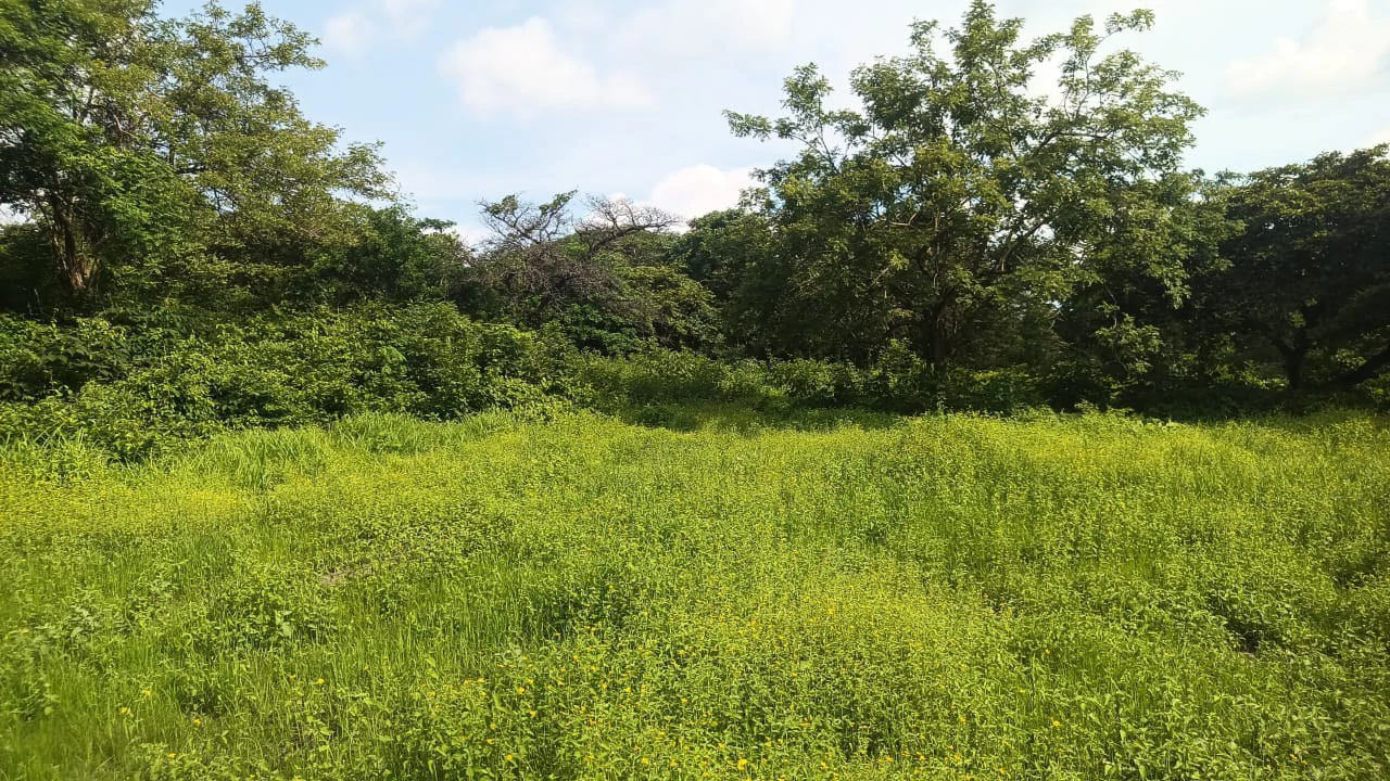 Airport Liberia property with very wide direct frontage on High - Traffic Route 21 to the Beaches