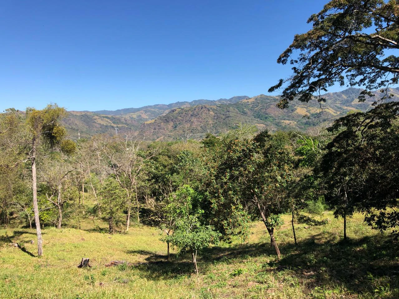 Peace, Privacy, Nature!: Finca in Eco friendly natural area - Gallery image 9