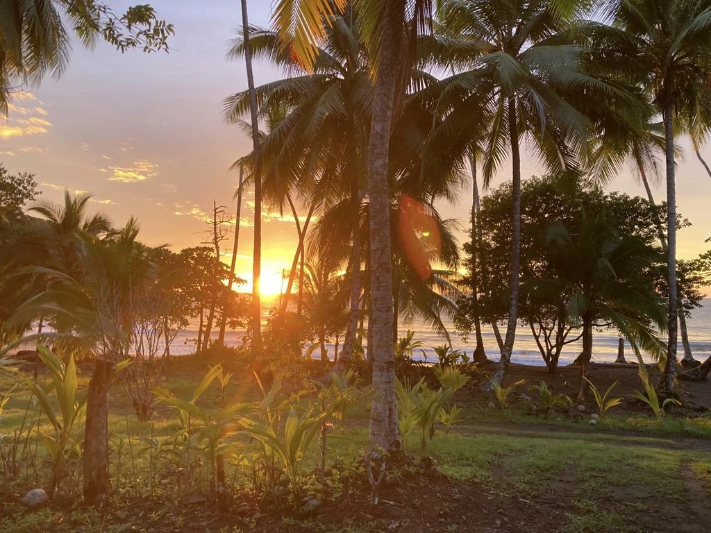 Casa Bromelia: Drake Bay Beachfront Paradise Property Near Corcovado - Gallery image 25