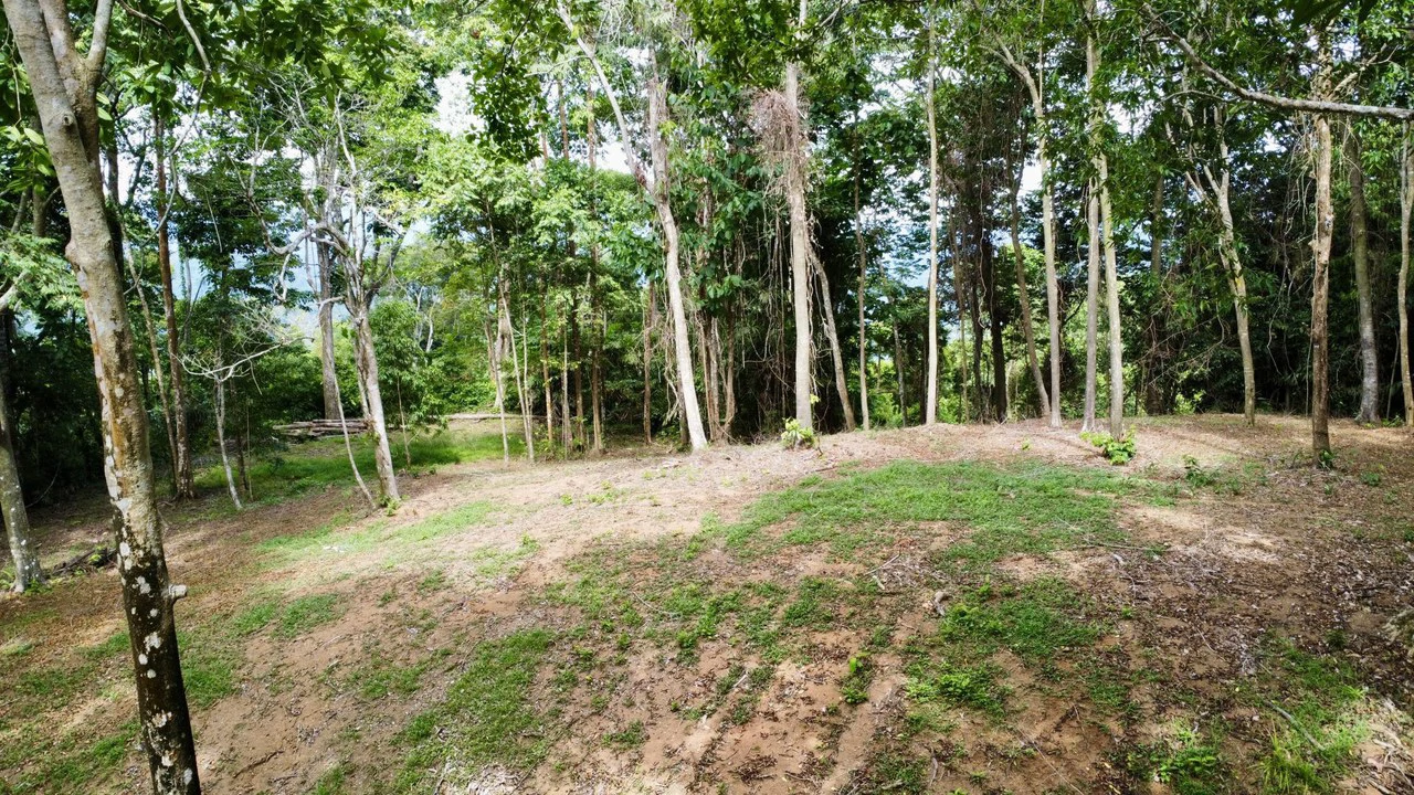 5.11 ACRES – Ocean And Mountain View Estate Property, Several Flat Buildable Areas, Legal ASADA Water!!! - Gallery image 7