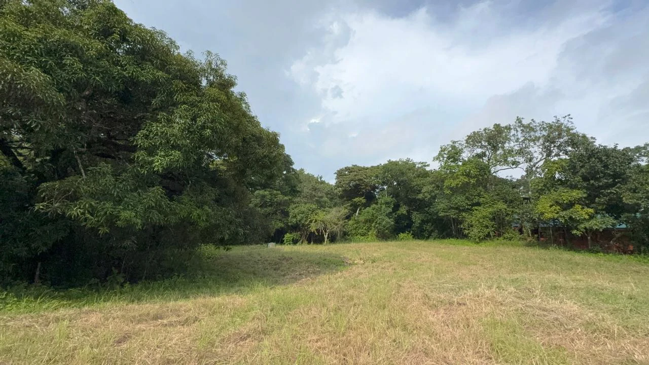 6000m2 Land Near Montezuma and Santa Teresa: ixed use, commercial and residential - Gallery image 3
