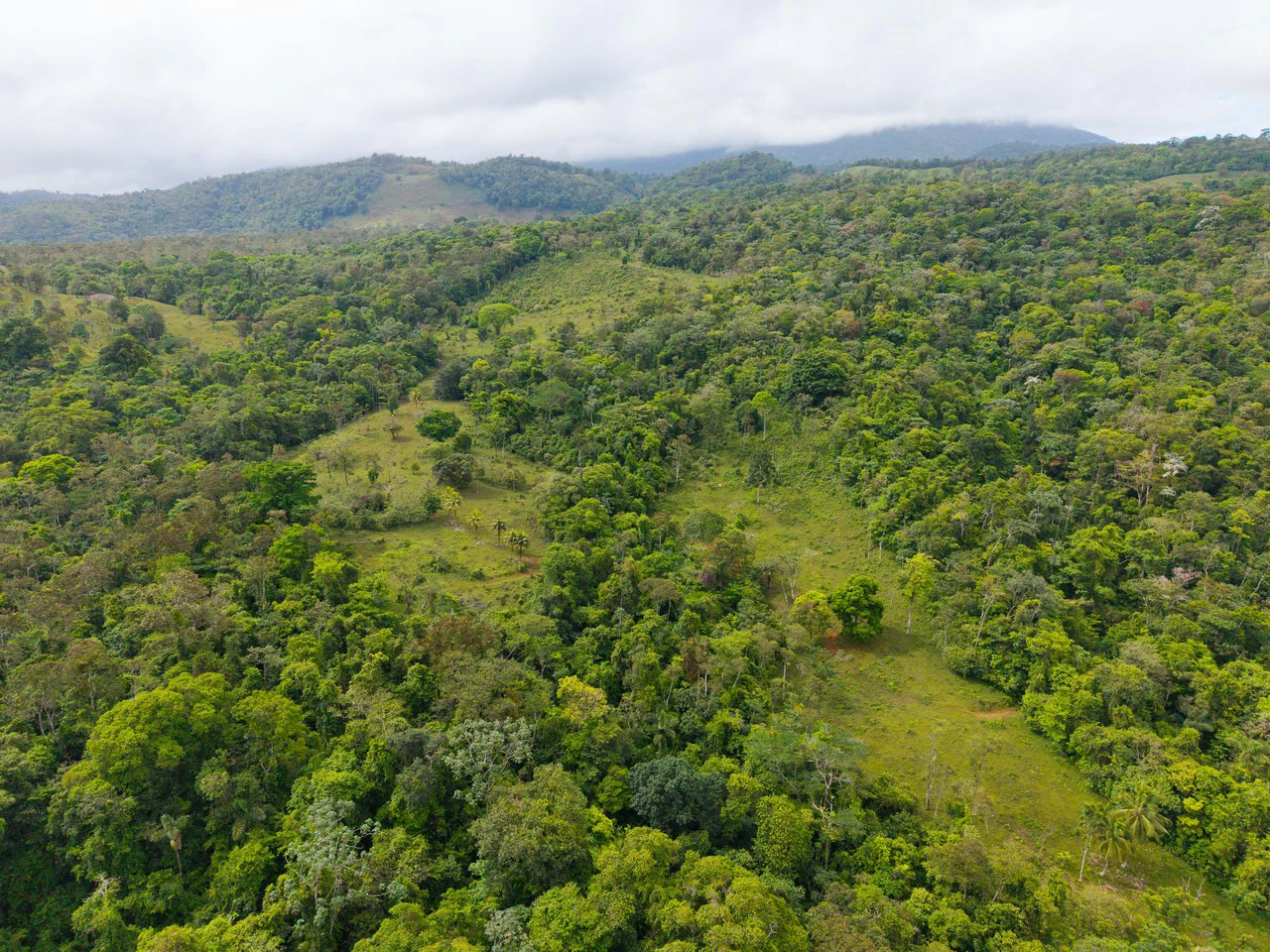 Finca Las Zompopas-Río Celeste: 113-Acre Biodiverse Property in Bijagua, Ideal for Eco-Tourism, Private Retreats, or Sustainable Development - Gallery image 26