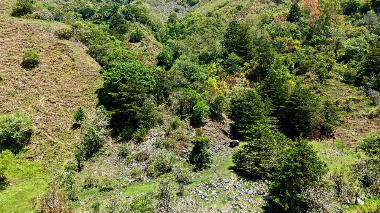 Mountain Agricultural Land For Sale in Herradura - Gallery image 9