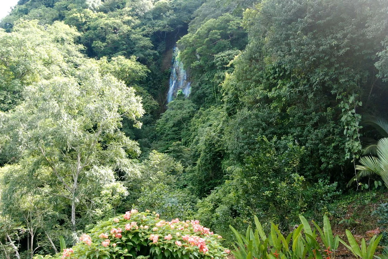 Luxury Waterfall-View Home with Guest House near Dominical, Costa Rica: Mountain House For Sale in Dominical - Gallery image 56