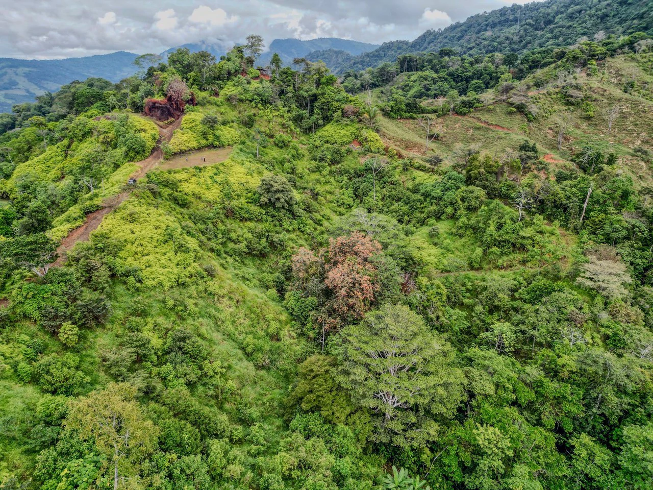 24.46 ACRES- Ocean And Mountain View Land, 4 Building Areas, Legal Water, Public Road, 20min From Beaches!!! - Gallery image 13