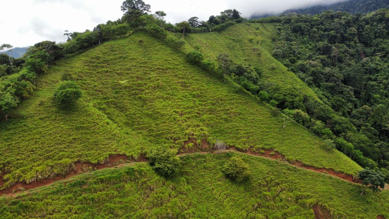 En venta, propiedad en Osa: Mountain Home Construction Site For Sale in Ciudad Cortés - Gallery image 17