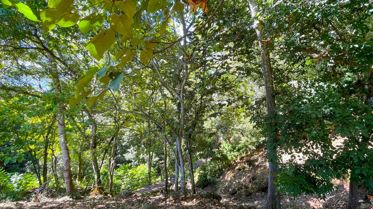 Lot for Sale in Escobal, Atenas- gravel road - Gallery image 5