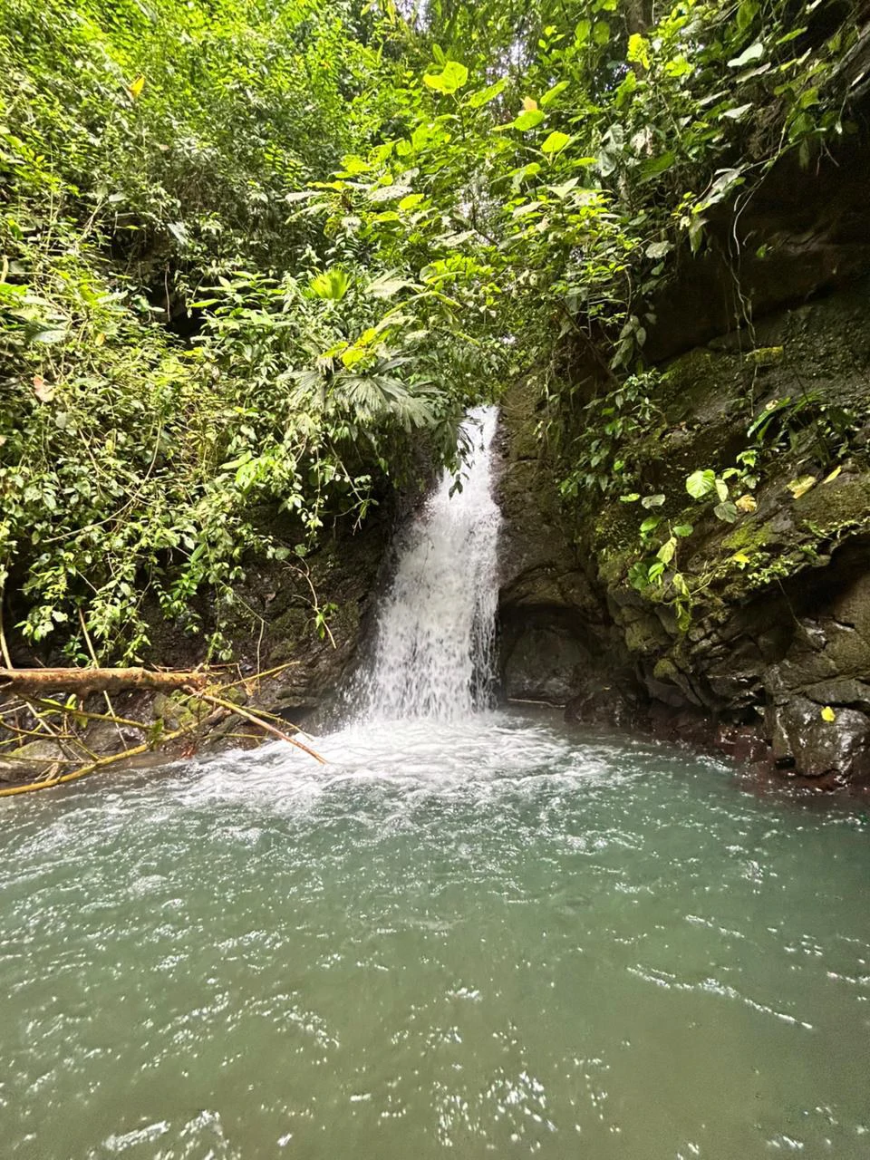 Finca Las Cataratas in Ballena: Mountain Home Construction Site For Sale in Bahía Ballena - Gallery image 21