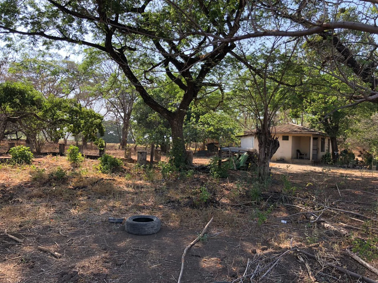 Large property with warehouses in Filadelfia, Carrillo - Gallery image 18