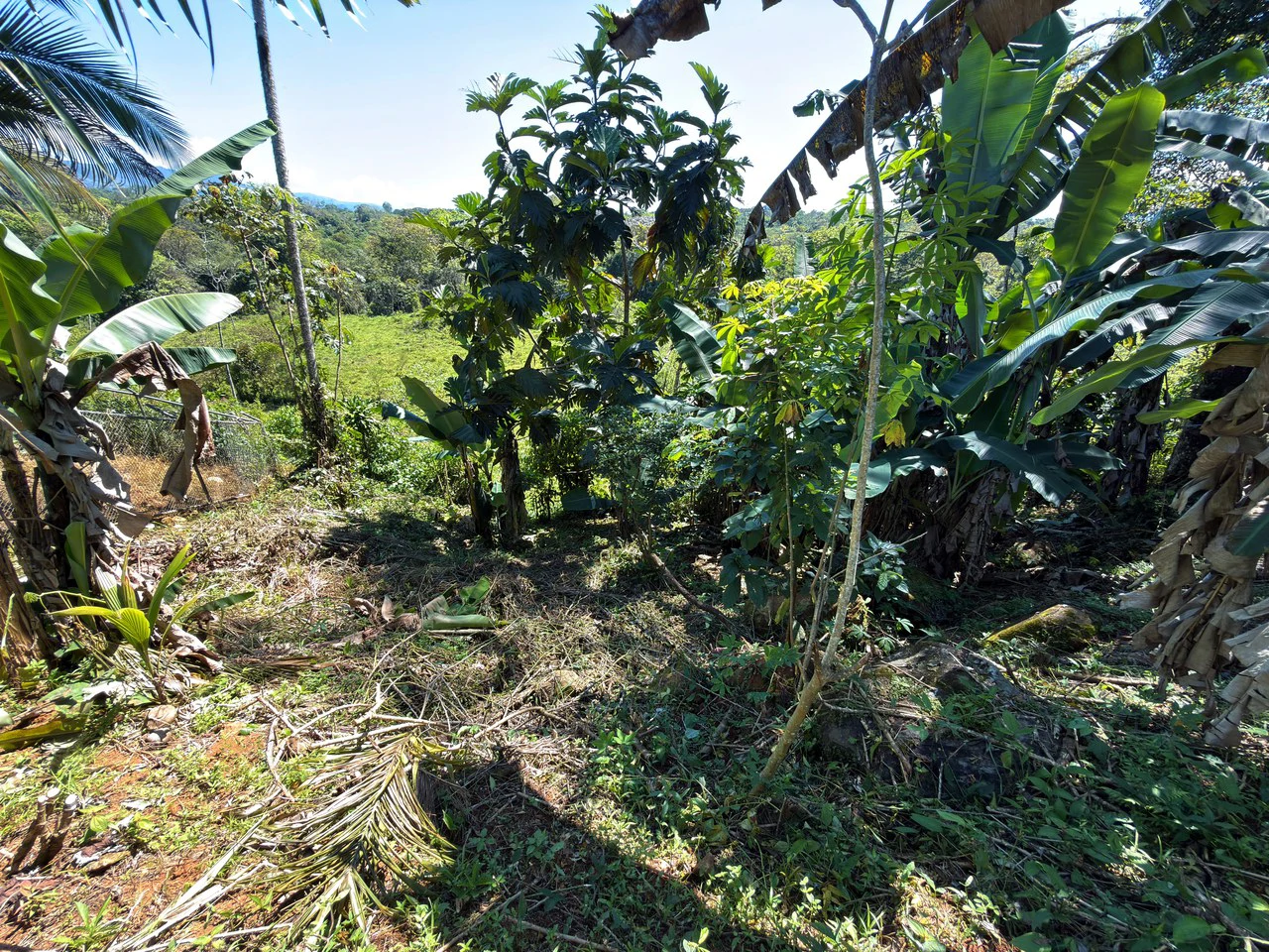 Countryside Home Construction Site For Sale in San Pedro - Gallery image 4