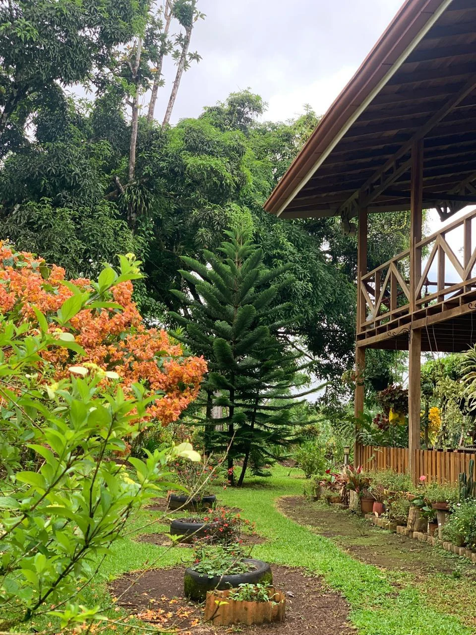 Charming Country Farmhouse with Profitable Ornamental Plant Farm: Great location near La Fortuna and Ciudad Quesada - Gallery image 5