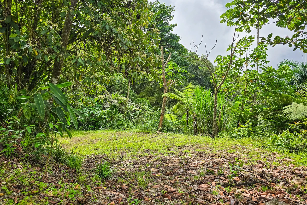 Near the Coast Home Construction Site For Sale in Ciudad Cortés - Gallery image 14
