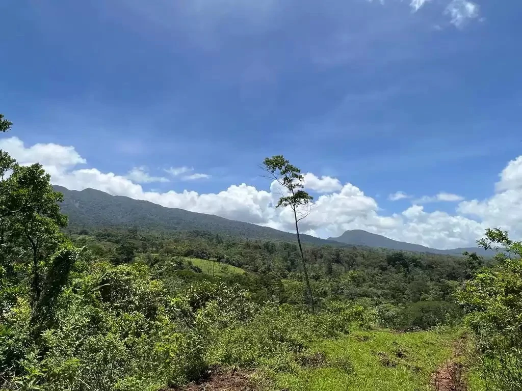 The farm is sold in Alajuela - Gallery image 11