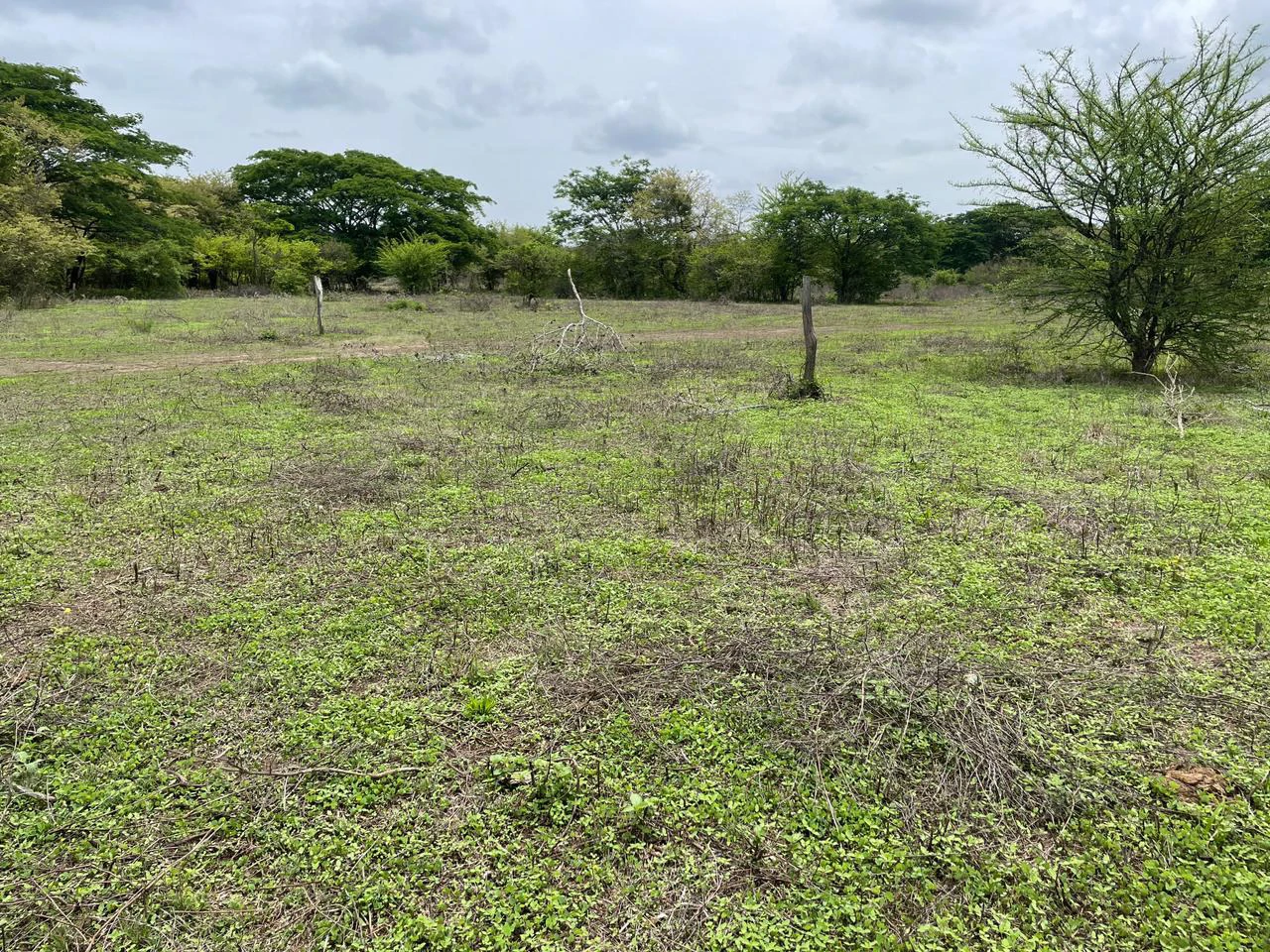 BEST PRICE! For sale comercial Property for warehouses or free zone, 1 km from Liberia Airport, Guanacaste, CR - Gallery image 11