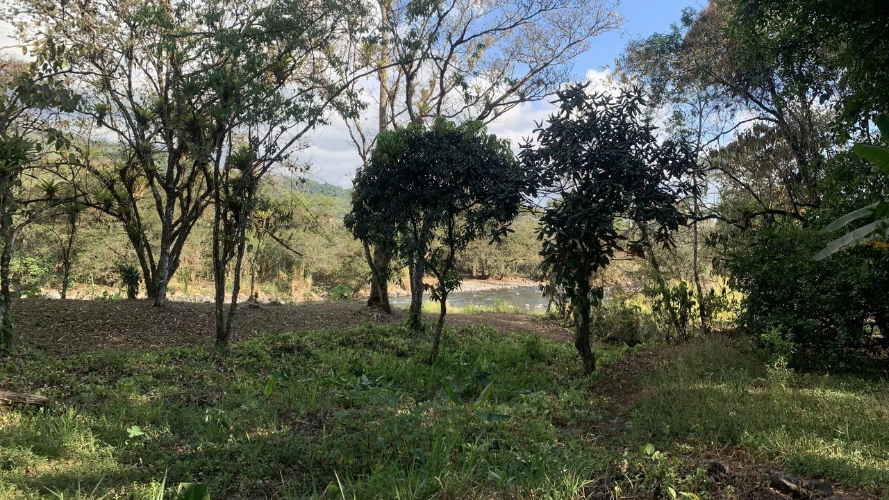 Talari Hotel: Nature and Bird Lover's Paradise - Mountain Lodge - Gallery image 24