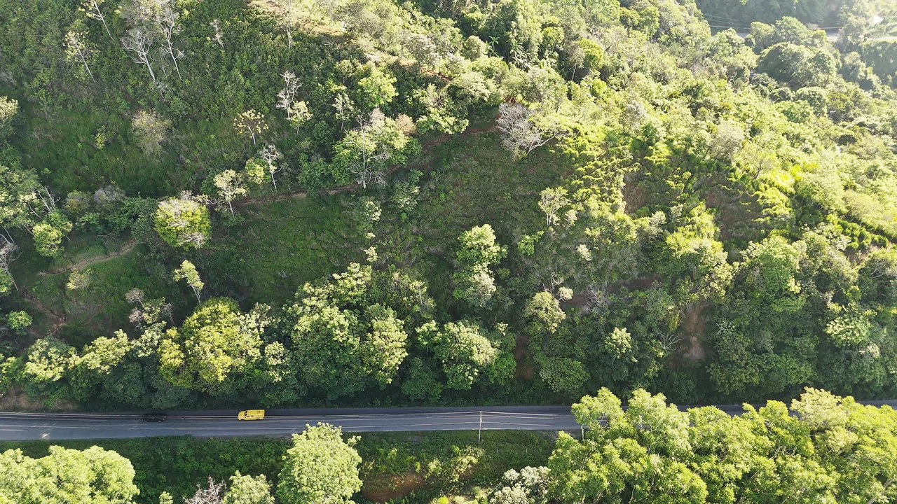 Mountain Agricultural Land For Sale in San Isidro del General - Gallery image 2
